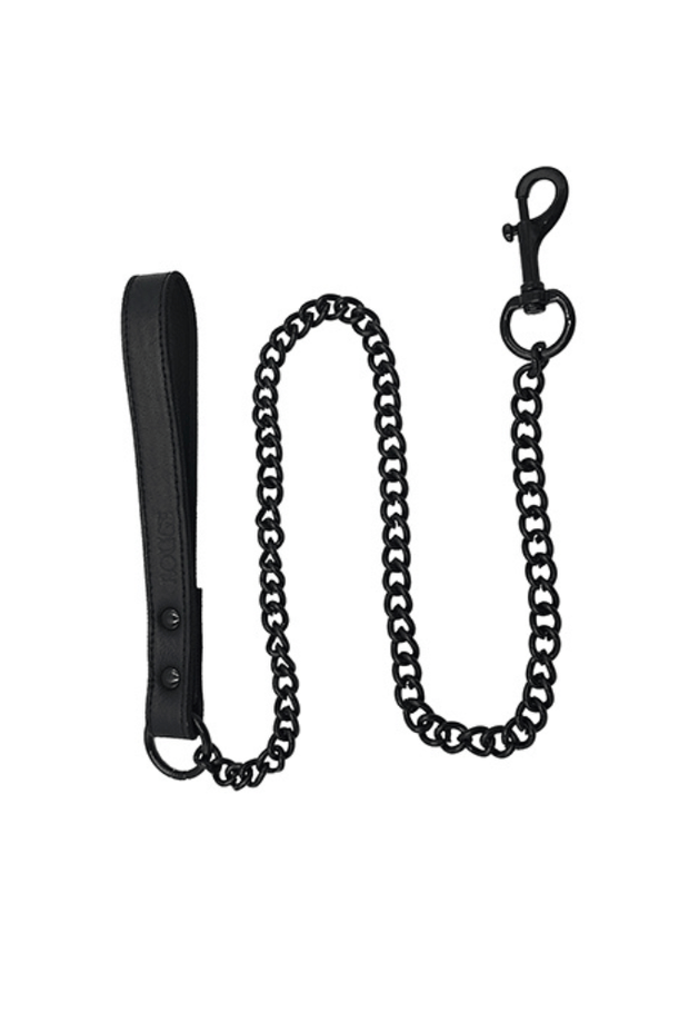 Elegant Leash with Chain - Leather