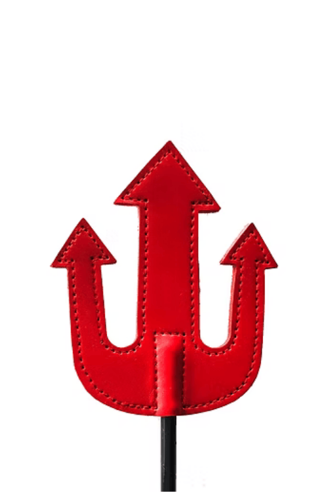 Devil's Whip - Leather