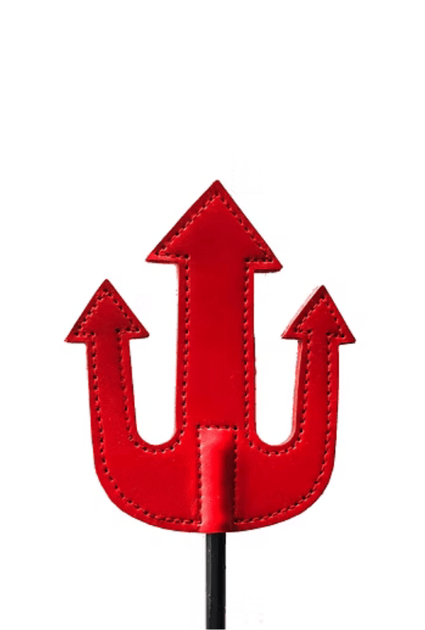 Devil's Whip - Leather