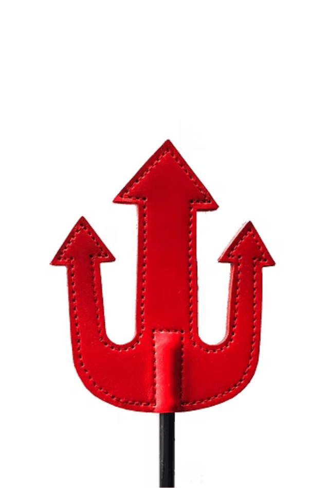 Devil's Whip - Leather