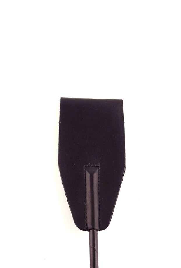 BDSM whip - Leather