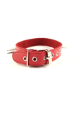 Leather Spiked Collar - ROUGE