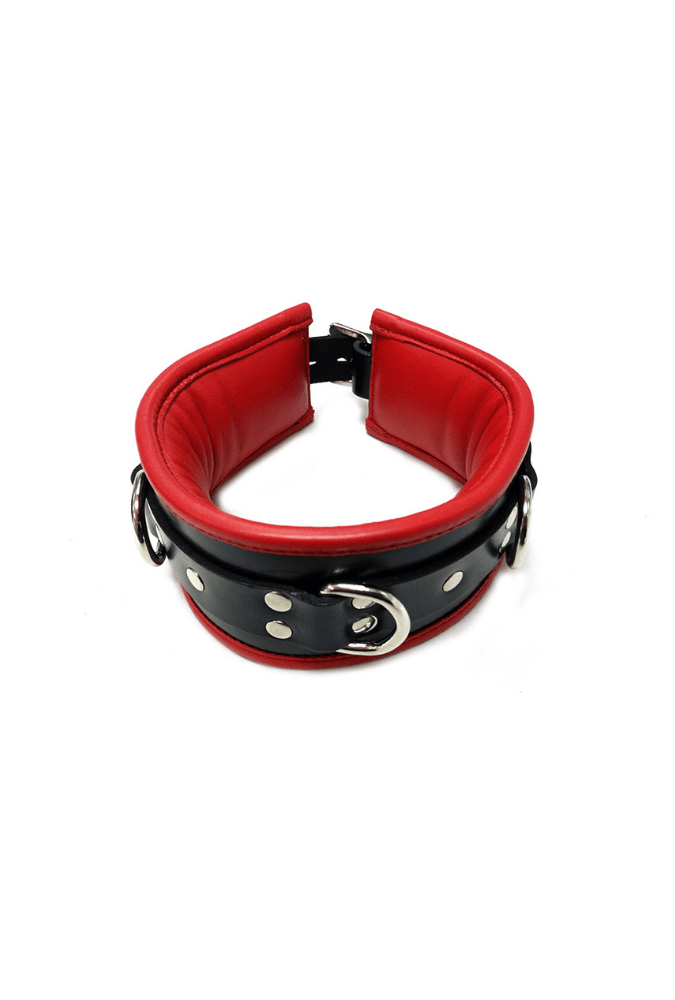 Leather 5 D-Ring Collar - ROUGE