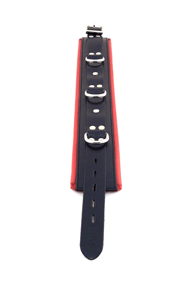 Leather 5 D-Ring Collar - ROUGE