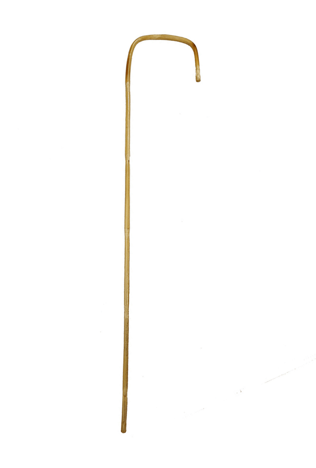 Cane - Bamboo BDSM