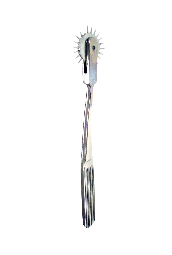 Wartenberg Pinwheel Single Caster - Steel