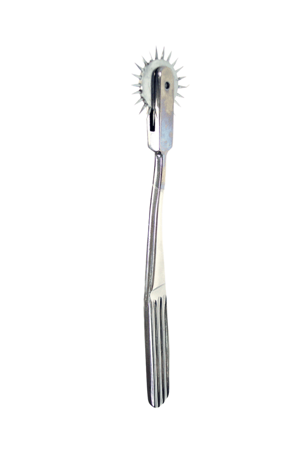 Wartenberg Pinwheel Single Caster - Steel