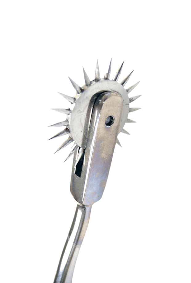 Wartenberg Pinwheel Single Caster - Steel