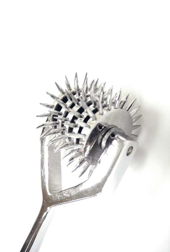 Wartenberg Pinwheel 5-Wheel Caster - Steel