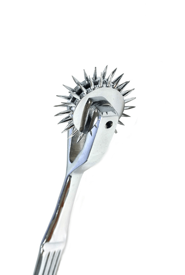 Wartenberg Pinwheel Double Caster - Steel