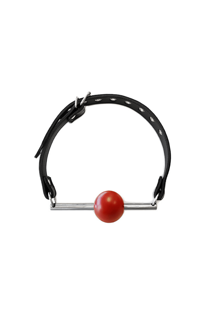 Leather Ball Gag with Steel Rod & Removable Ball