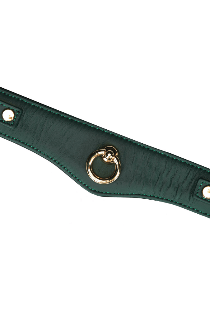 Mossy Chic Leather BDSM Collar with Chain Leash and Lock