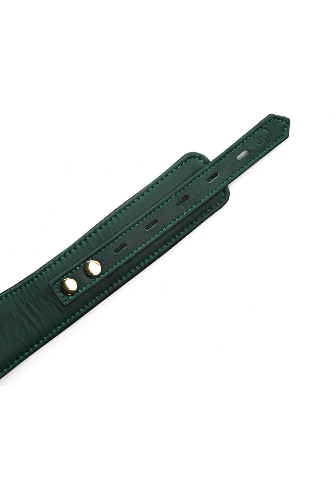 Mossy Chic Leather BDSM Collar with Chain Leash and Lock