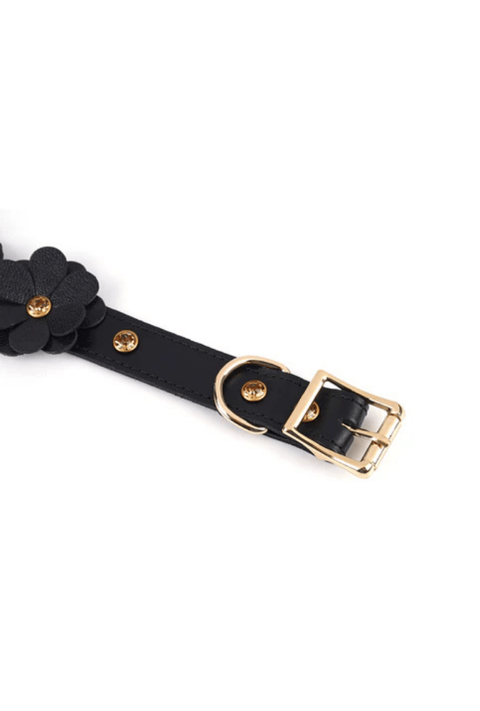 Leather BDSM Collar with Leash - Flower Rhythm